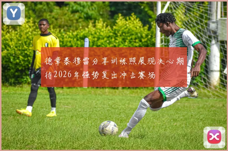 德章泰穆雷分享训练照展现决心期待2026年强势复出冲击赛场