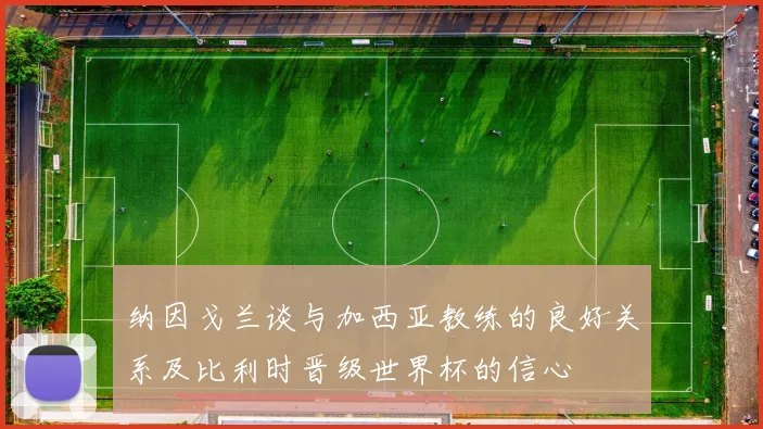 纳因戈兰谈与加西亚教练的良好关系及比利时晋级世界杯的信心